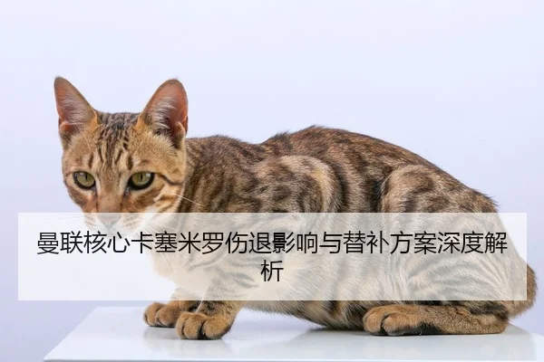 曼联核心卡塞米罗伤退影响与替补方案深度解析